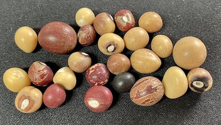 Bambara Groundnuts, Assorted Varieties